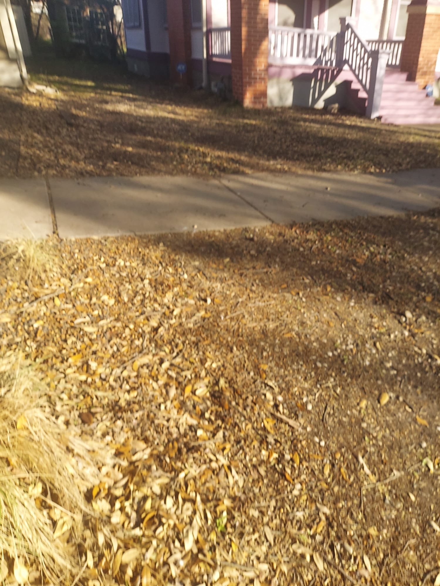 IN GOD I TRUST QUALITY REMODELING 46